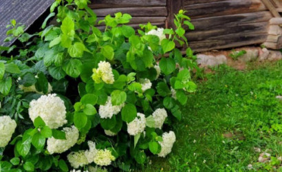 Купить дом, Каменка, Центральная ул., 25, 24.99 соток. Фото 4