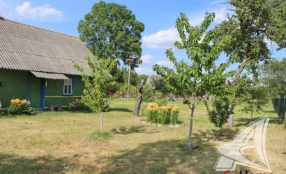 Купить дом, Франополь, Радваничский с/с, 25 соток. Фото 40