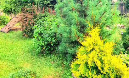 Снять на сутки агроусадьбу, Морино, Центральная,158. Фото 3