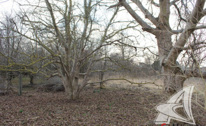 Купить дом, Зеленец, Чернавчицкий с/с, 25 соток. Фото 12