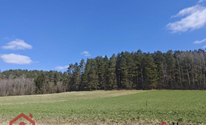 Купить участок, Вяча, Лесная, 20.07 соток. Фото 4