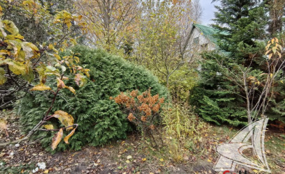 Купить дачу, Брест, Чернавчицкий с/с, 10.49 соток. Фото 27