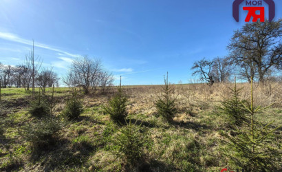 Купить дом, Сороги, Советская ул., 32.6 соток. Фото 25