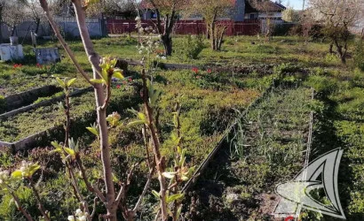  Брест(Тельминский с/с)