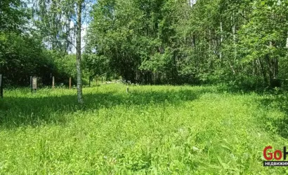  Олехновичи(15)