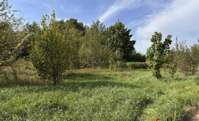 Купить дом, Дворец, 25 соток. Фото 5