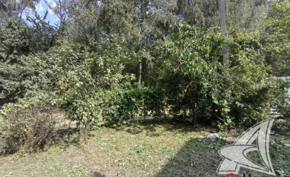 Купить дачу, Брест, Мотыкальский с/с, 6.26 соток. Фото 6