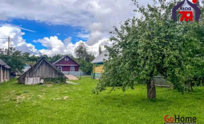  Гаевцы
