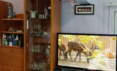 Купить дом, Федьковичи, Ракитницкий с/с, 22.46 соток. Фото 4