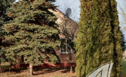 Купить дом, Деменичи, Хмелевский с/с, 25 соток. Фото 1