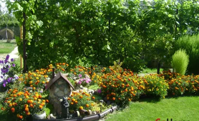 1-этаж.(52 м2), Пинковичи(Переточная)