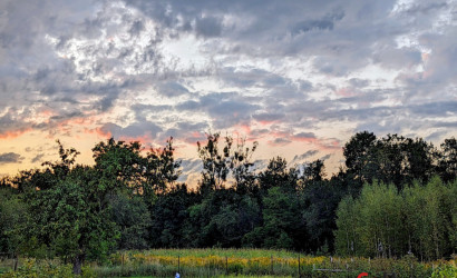Купить дом в деревне, Кричевец, Васильковая, 2, 19.5 соток. Фото 6