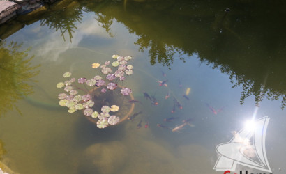 Купить дом, Брест, Речица, 13.43 соток. Фото 27