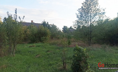 Купить дом в деревне, Дворец, дворец, 38 соток. Фото 7