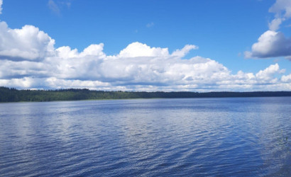 Купить дом, Большое Ситно, 11 соток. Фото 14