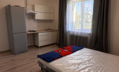 Снять 1-комнатную квартиру, Лесковка, Лесная. Фото 5