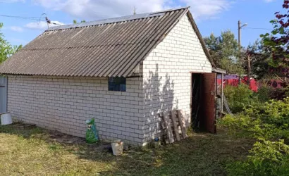  1-этаж.(45 м2), Еськовичи(29)