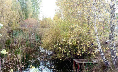 Купить дом в деревне, . Золотой корень, 10.73 соток. Фото 7