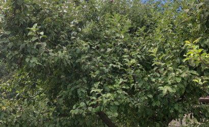 Купить дом в деревне, СИГНАЛ-2, 4.43 соток. Фото 40