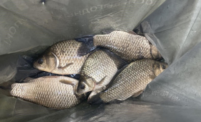 Купить дом, Денисовщина, 25 соток. Фото 4