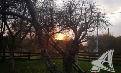 Купить дом, Бобинка, Верховичский с/с, 25 соток. Фото 10