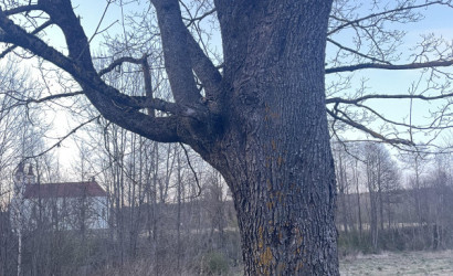 Продажа помещения, Быстрица, Школьная ул., 259.5 кв.м.. Фото 6