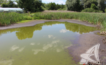 Купить дом, Брест, Речица, 6 соток. Фото 21