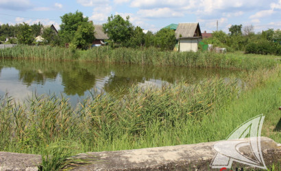 Купить дачу, Брест, Знаменский с/с, 5.94 соток. Фото 14