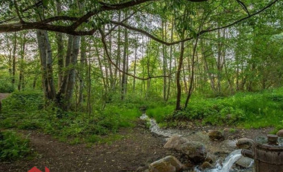 Купить участок, Поляна, 9 соток. Фото 12