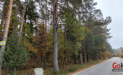 Купить дом в деревне, . Роща-Коробчицы, 6.1 соток. Фото 10