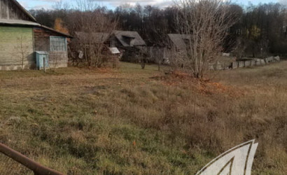 Купить дом в деревне, Горошковка 1, Каменюкский с/с, 25 соток. Фото 28