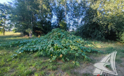 Купить дом, Ланская, Олтушский с/с, 25 соток. Фото 38