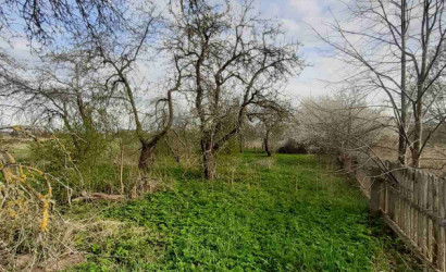 Купить дом, Скадорвы, 25 соток. Фото 3