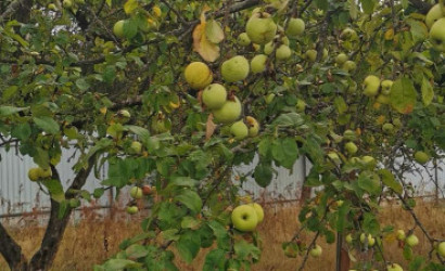 Купить дом, Артемово, Центральная, 25 соток. Фото 13