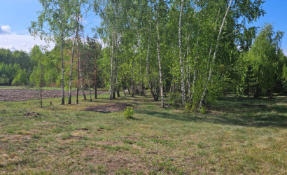 Купить участок, Белое, Азерная , 25 соток. Фото 5