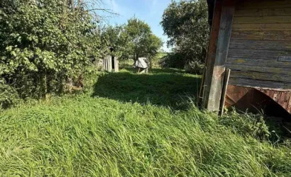  50.4 м2, Новицкие
