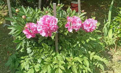 Купить дом в деревне, Родник, 6 соток. Фото 26