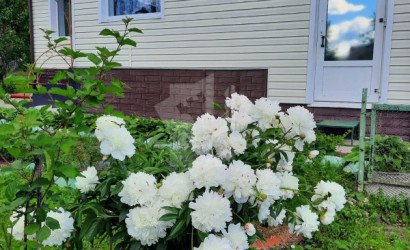 Купить дом, Петришки, 18 соток. Фото 2