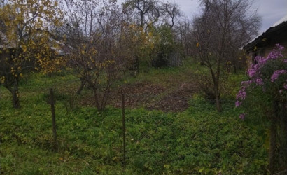 Купить дом, Пурсти, 24.99 соток. Фото 3