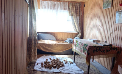 Купить дачу, Панышевщина, СТ ВЯСЕЛКА-1, 5.7 соток. Фото 12