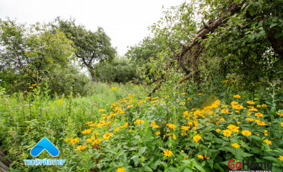 Купить дом, Зябровка, Первомайская ул., 25 соток. Фото 3