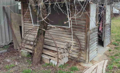 Купить дачу, Брест, Козловичи, 4.93 соток. Фото 5