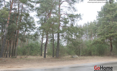 Купить дом, Столбцы, Сенкевича, 56, 13.6 соток. Фото 10