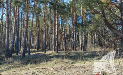 Купить дом, Каменица-Жировецкая, Мухавецкий с/с, 5.14 соток. Фото 32