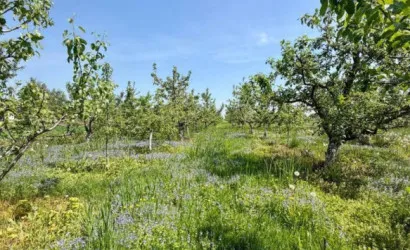 1-этаж.(86.7 м2), Варковичи(Братьев Басалыга ул.)