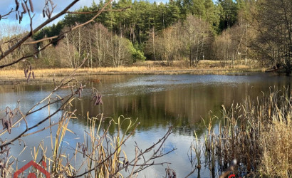 Купить участок, Приселки, 25 соток. Фото 42