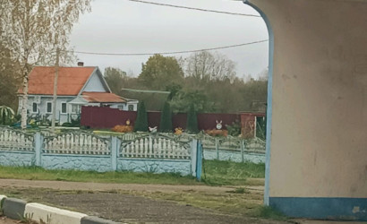 Купить дом, Тарасенки, Центральная, 19 соток. Фото 26