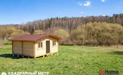  1-этаж.(30.2 м2), Бродок(Центральная ул., 18/а)
