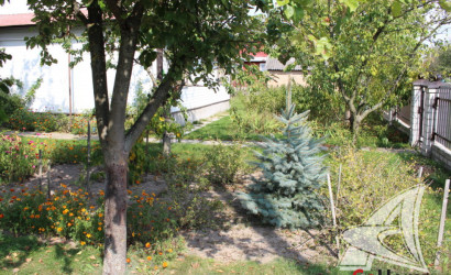 Купить дом, Большие Лепесы, Буховичский с/с, 14.56 соток. Фото 15