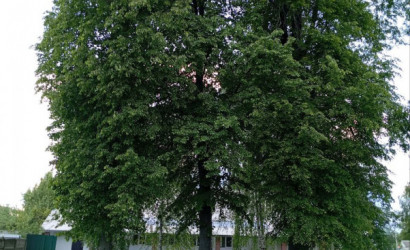 Купить дом, Тереховка, Спортивная, 1А, 16 соток. Фото 23